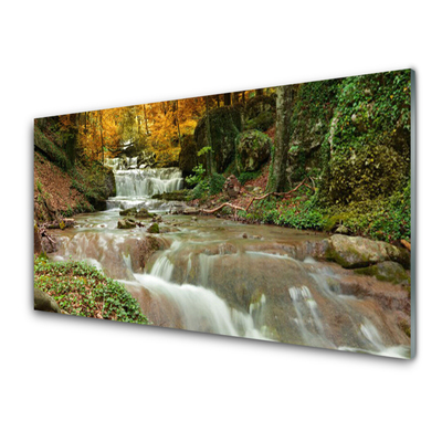 Quadro acrilico Cascata della natura della foresta