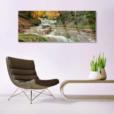 Quadro acrilico Cascata della natura della foresta