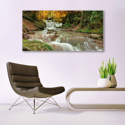 Quadro acrilico Cascata della natura della foresta