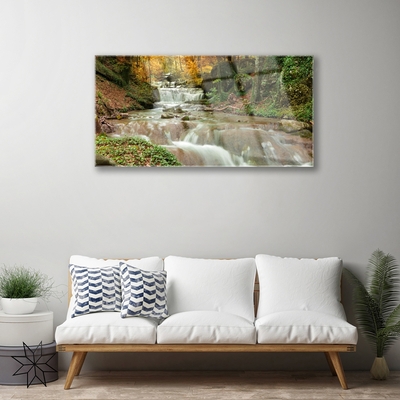 Quadro acrilico Cascata della natura della foresta