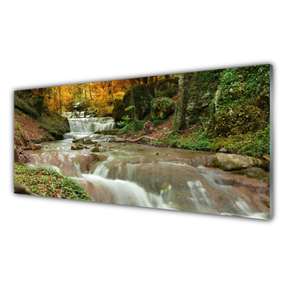 Quadro acrilico Cascata della natura della foresta