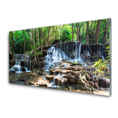 Quadro acrilico Cascata della natura della foresta