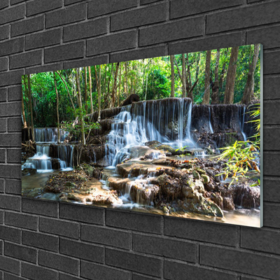 Quadro acrilico Cascata della natura della foresta