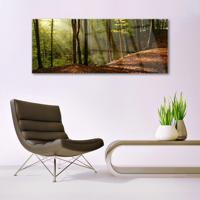 Quadro in vetro acrilico Foresta, alberi, natura