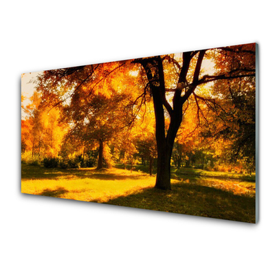 Quadro su vetro acrilico Alberi, Autunno, Natura