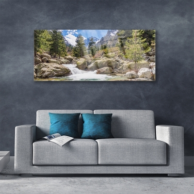 Quadro su vetro acrilico Fiume di pietre della foresta di montagna