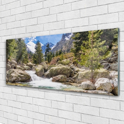 Quadro su vetro acrilico Fiume di pietre della foresta di montagna