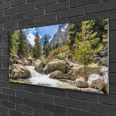 Quadro su vetro acrilico Fiume di pietre della foresta di montagna