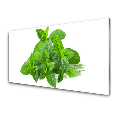 Quadro vetro acrilico Natura vegetale di menta