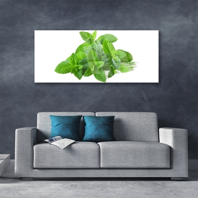 Quadro vetro acrilico Natura vegetale di menta