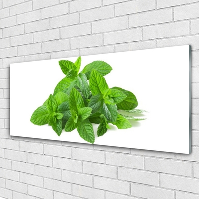 Quadro vetro acrilico Natura vegetale di menta