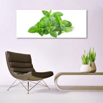 Quadro vetro acrilico Natura vegetale di menta