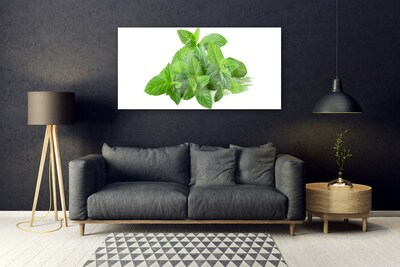 Quadro vetro acrilico Natura vegetale di menta