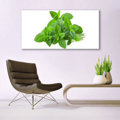 Quadro vetro acrilico Natura vegetale di menta