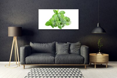 Quadro vetro acrilico Natura vegetale di menta