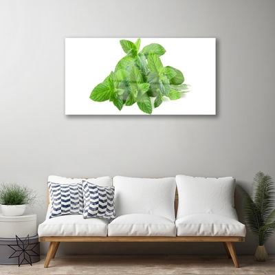 Quadro vetro acrilico Natura vegetale di menta