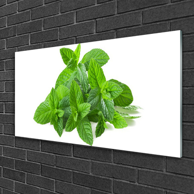 Quadro vetro acrilico Natura vegetale di menta