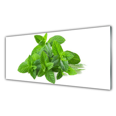 Quadro vetro acrilico Natura vegetale di menta