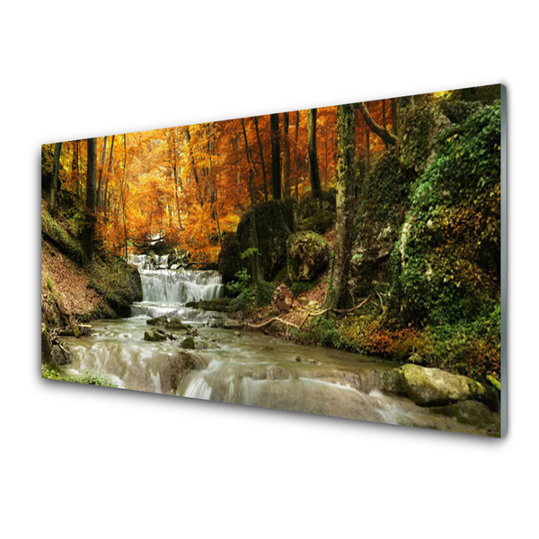 Quadro in vetro acrilico Cascata della natura della foresta