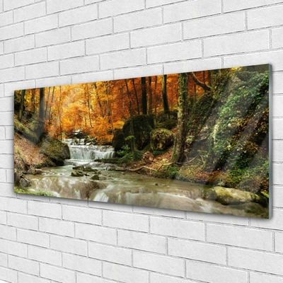 Quadro in vetro acrilico Cascata della natura della foresta