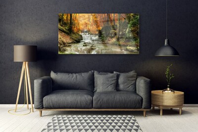 Quadro in vetro acrilico Cascata della natura della foresta