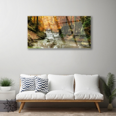 Quadro in vetro acrilico Cascata della natura della foresta