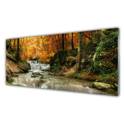 Quadro in vetro acrilico Cascata della natura della foresta