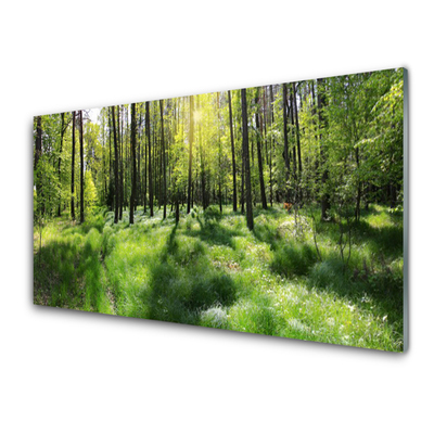 Quadro vetro acrilico Foresta. Erba. Pianta. Natura