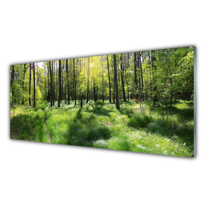 Quadro vetro acrilico Foresta. Erba. Pianta. Natura