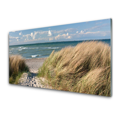 Quadro su vetro acrilico Paesaggio dell'erba del mare della spiaggia