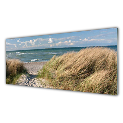 Quadro su vetro acrilico Paesaggio dell'erba del mare della spiaggia