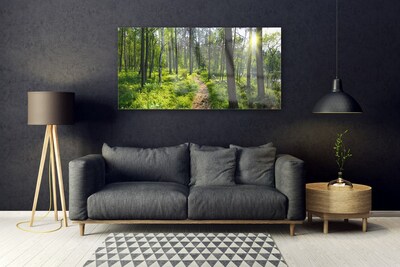 Quadro su vetro acrilico Foresta. Sentiero. Sentiero. Natura