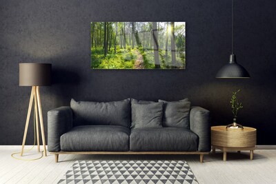 Quadro su vetro acrilico Foresta. Sentiero. Sentiero. Natura