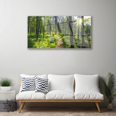 Quadro su vetro acrilico Foresta. Sentiero. Sentiero. Natura