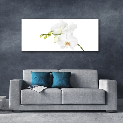 Quadro acrilico Fiori di orchidea Natura