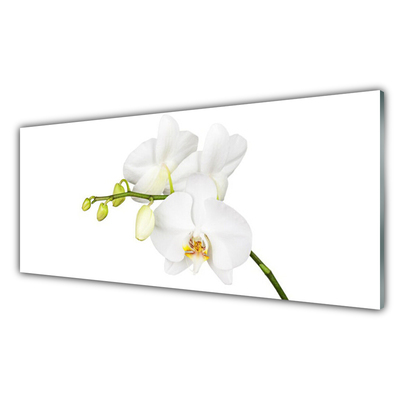 Quadro acrilico Fiori di orchidea Natura