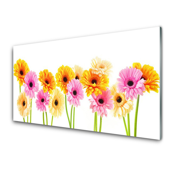 Quadro acrilico Fiori colorati di gerbere