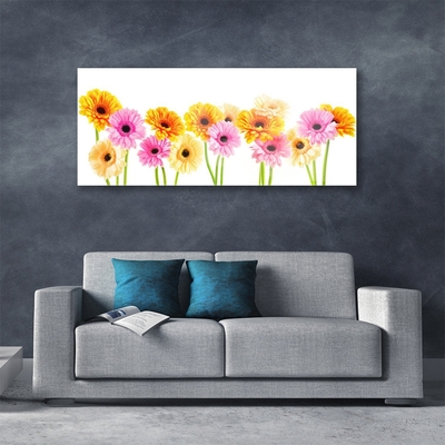 Quadro acrilico Fiori colorati di gerbere