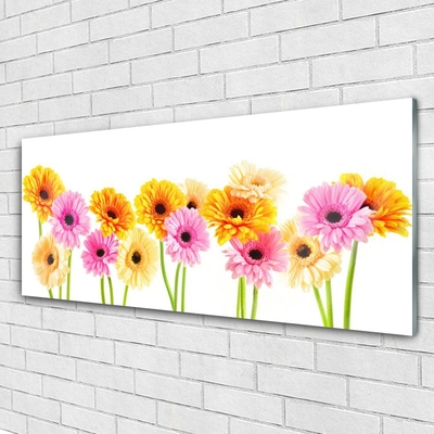 Quadro acrilico Fiori colorati di gerbere