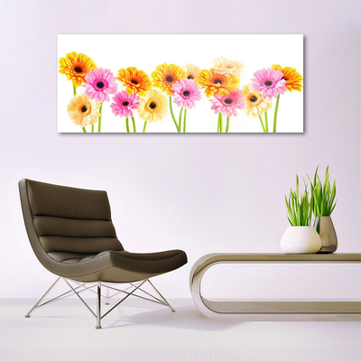 Quadro acrilico Fiori colorati di gerbere