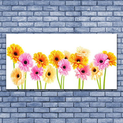 Quadro acrilico Fiori colorati di gerbere