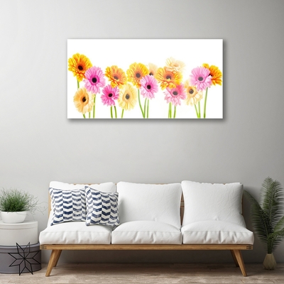 Quadro acrilico Fiori colorati di gerbere