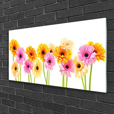 Quadro acrilico Fiori colorati di gerbere