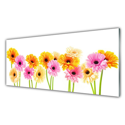 Quadro acrilico Fiori colorati di gerbere