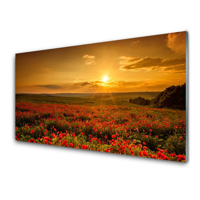 Quadro acrilico Un campo di papaveri Tramonto Prato