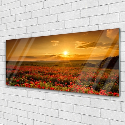 Quadro acrilico Un campo di papaveri Tramonto Prato