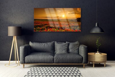 Quadro acrilico Un campo di papaveri Tramonto Prato