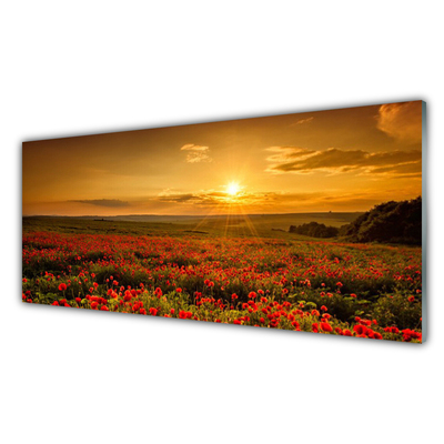 Quadro acrilico Un campo di papaveri Tramonto Prato