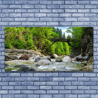 Quadro su vetro acrilico Ponte di legno nella foresta