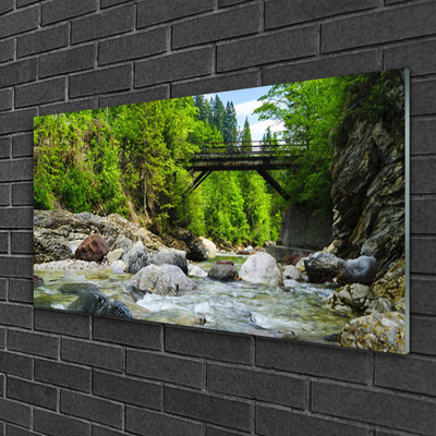 Quadro su vetro acrilico Ponte di legno nella foresta